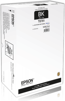 Epson T8781 inkoust černý (75.000 str)